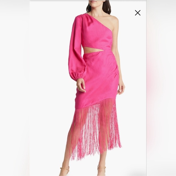 NWT & Other Stories One Shoulder Fringe Dress - Picture 1 of 12
